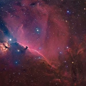 Meet your Posher, Carolyn